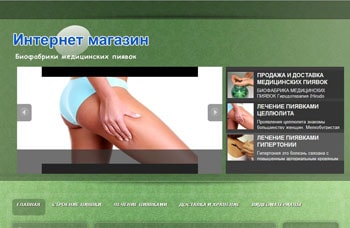 продвижение сайта в топ, создание сайтов